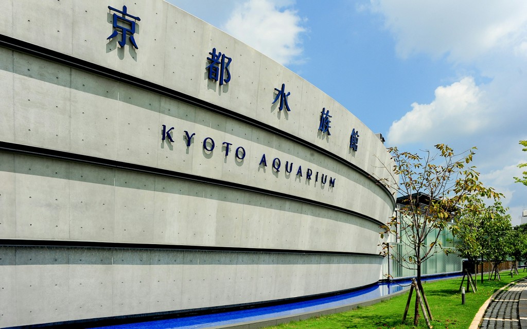 Billets pour l'aquarium de Kyoto (Admission ticket to Kyoto Aquarium ) - 2