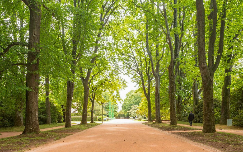 Eintrittskarten für die Serralves Stiftung (Serralves Foundation General Ticket) - 1