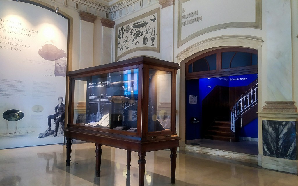Tickets to Vasco da Gama Aquarium in Lisbon (Visit) - 1
