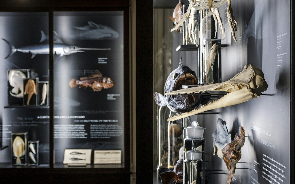 Tickets to Vasco da Gama Aquarium in Lisbon (Visit) - 2