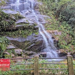 蒂茹卡国家公园:里约热内卢吉普车导览探险之旅 - 3
