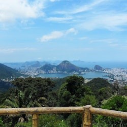Pico da Tijuca: Caminhada guiada + transfer do hotel - 1