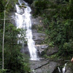 Pico da Tijuca: Caminhada guiada + transfer do hotel - 2