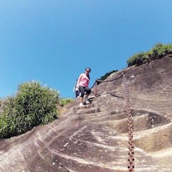 Pico da Tijuca: Caminhada guiada + transfer do hotel - 3