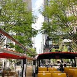 Tokyo: Hop-on Hop-off Bus Tour + Audio Guide - 2