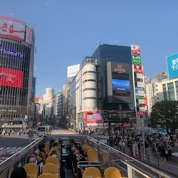 Tokyo: Hop-on Hop-off Bus Tour + Audio Guide - 3