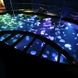 Tokyo Skytree Pass: Tokyo Skytree + Sumida Aquarium - 3