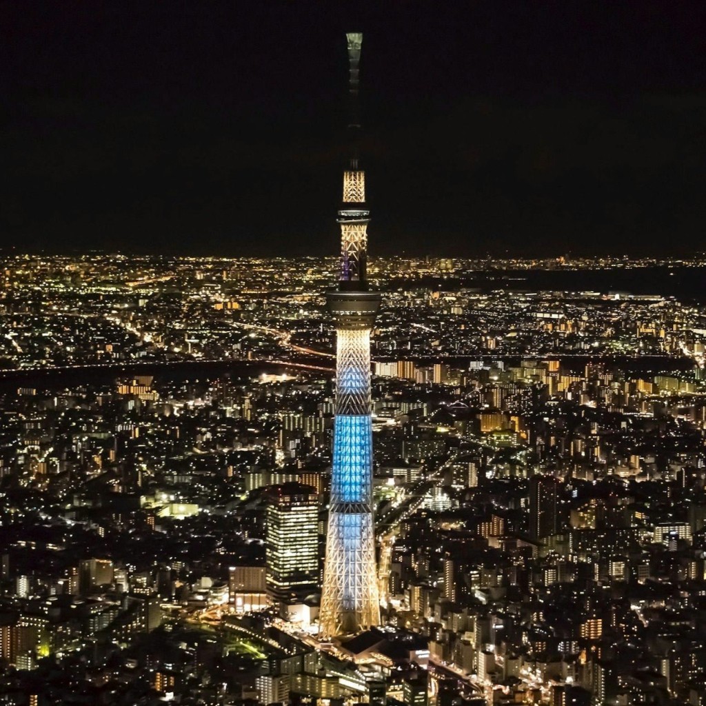 Tòquio Skytree i teamLab Planets: Tiquet d'entrada - 3