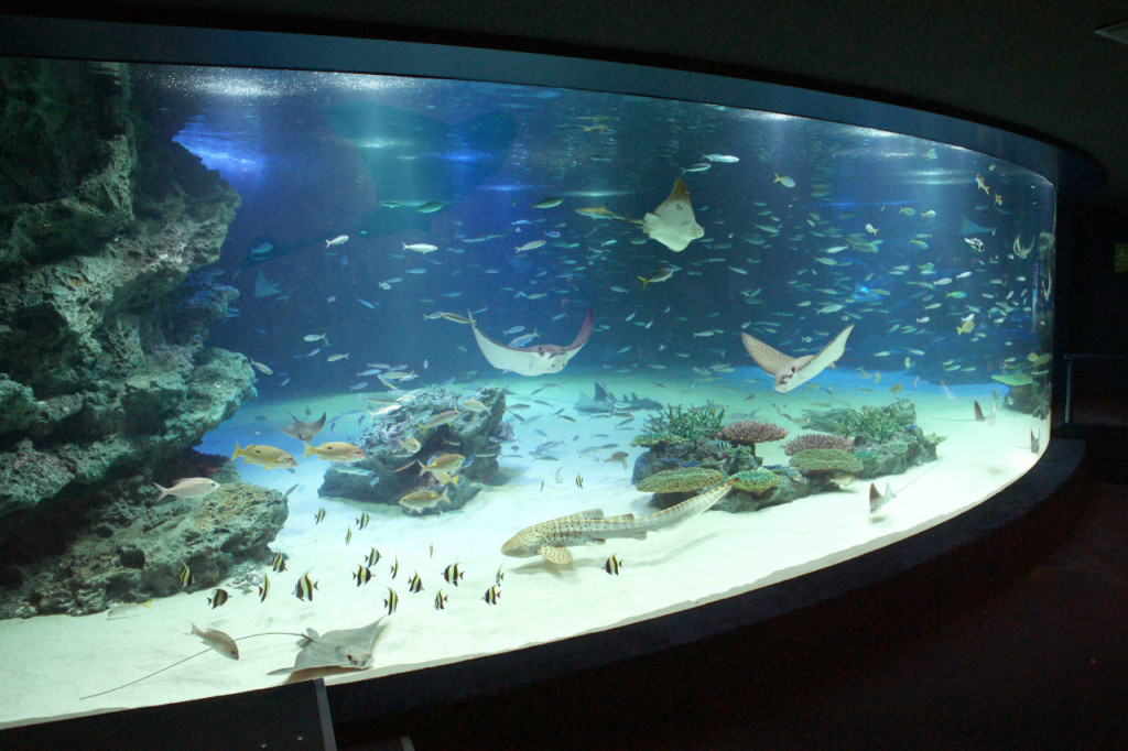 Tokyo Sunshine Aquarium (Sunshine Aquarium - Admission Ticket) - 3