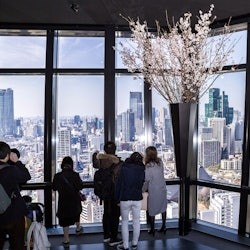 Tokyo Tower: Main Deck Admission + Tokyo Subway Ticket - 1