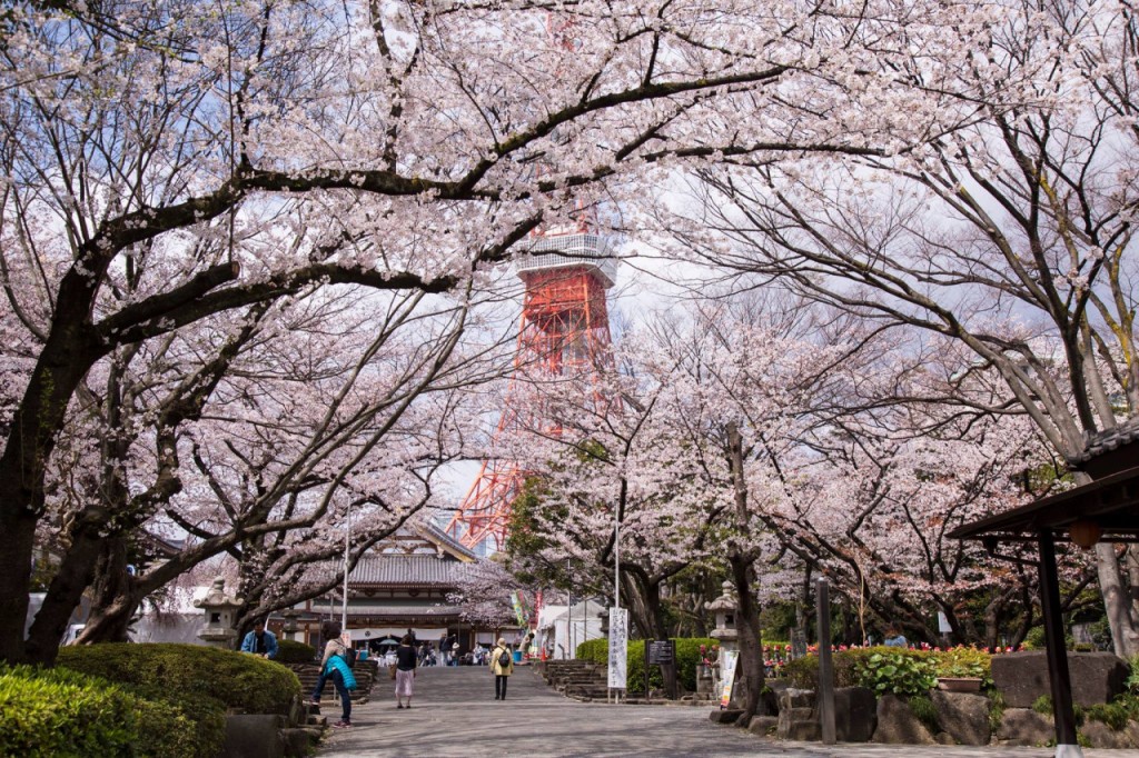 東京タワー展望台 (東京タワー メインデッキ展望台 入場券) - 2