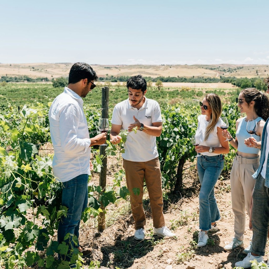 Toledo: Recorregut per la ciutat i els cellers des de Madrid + Tast de vins - 1