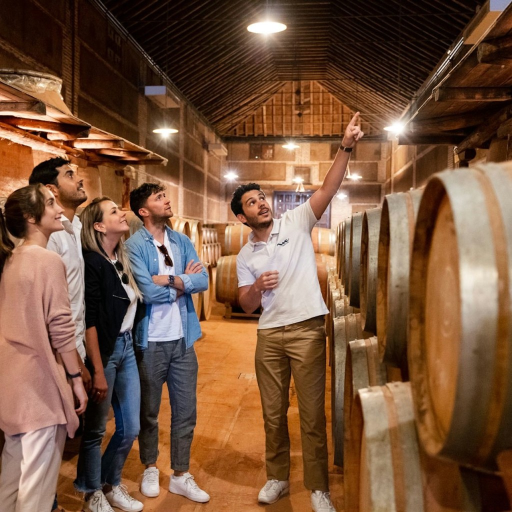 Toledo: Recorregut per la ciutat i els cellers des de Madrid + Tast de vins - 3