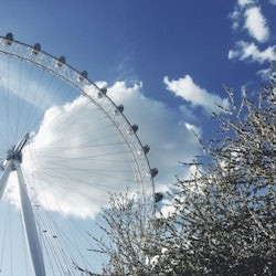 Tootbus London: 2-Hour Panoramic Express Tour - 3