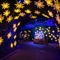 Train Ride: Lauterbrunnen - Jungfraujoch - 3