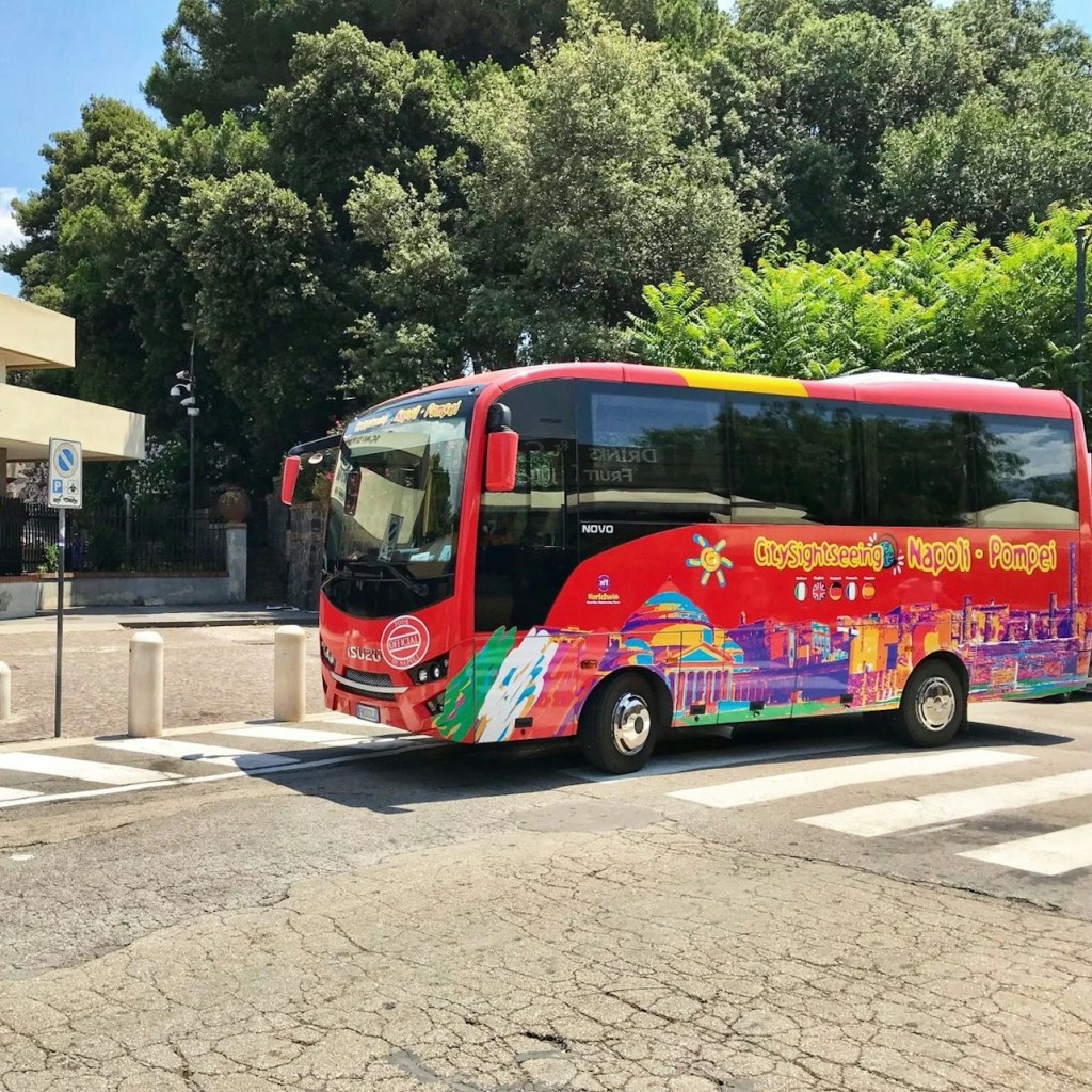 Transportation Only: Roundtrip by Shuttle Bus from Naples to Pompeii - 2nd Race - 2