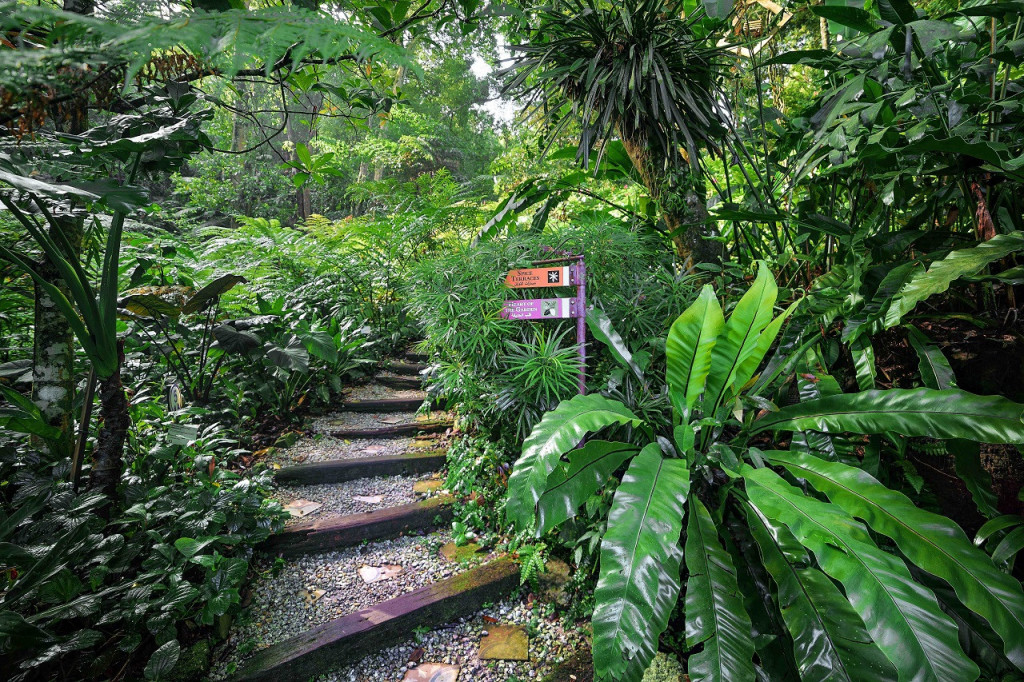 Tropical Spice Garden Penang (Tropical Spice Garden - Admission with Audio Guide) - 2