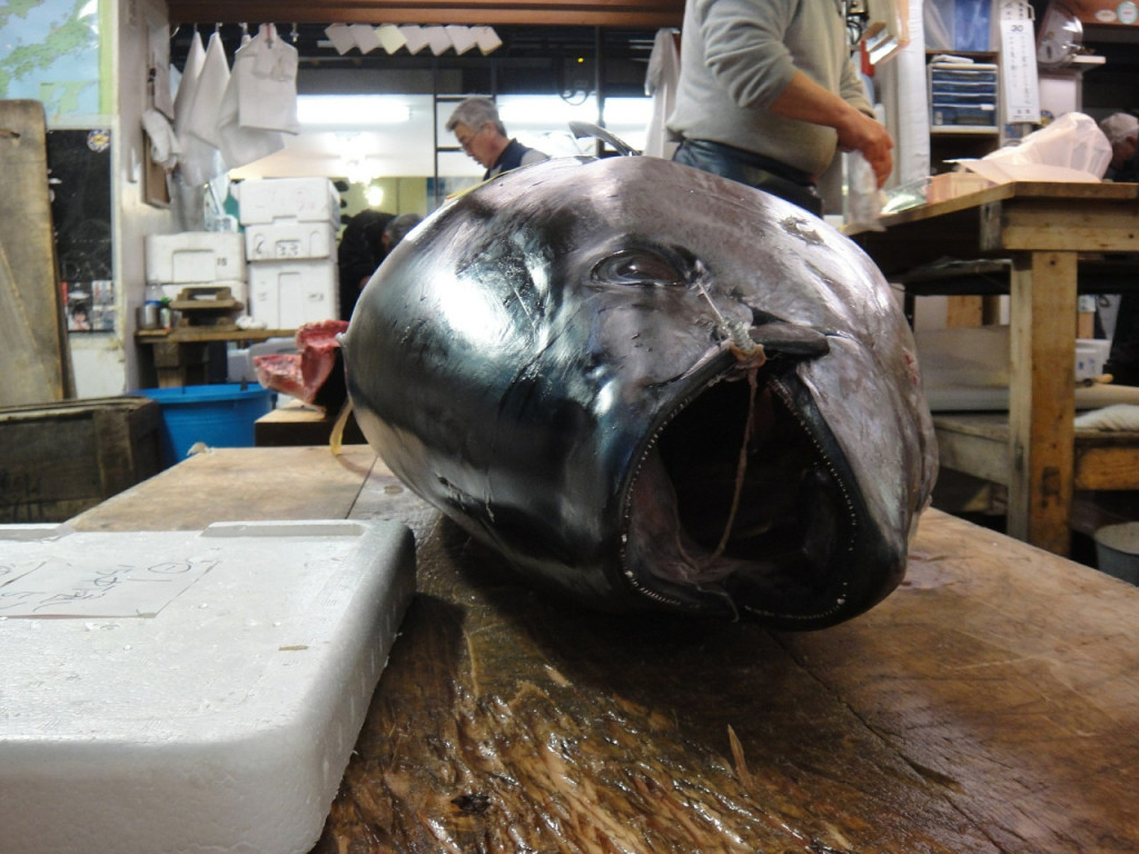 Tsukiji Outer Market Breakfast Tour - 3