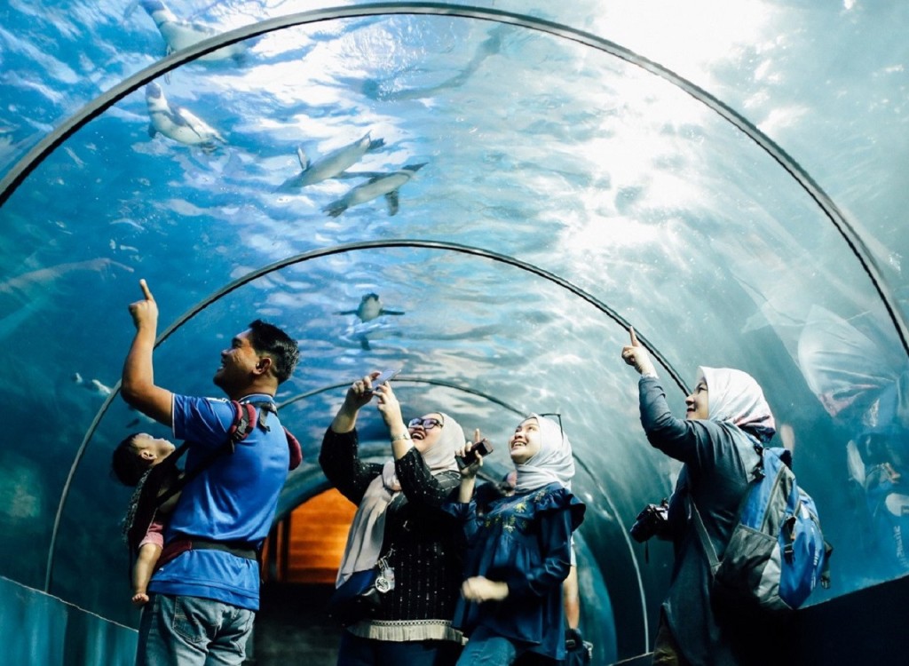 Underwater World Langkawi Ticket (Underwater World Langkawi - Admission (Malaysian Citizens)) - 2