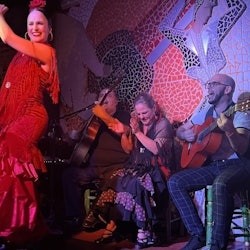 Valencia: El Toro y La Luna Flamenco Show - 2