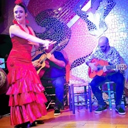 Valencia: El Toro y La Luna Flamenco Show - 3