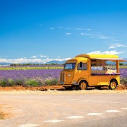 Els camps de lavanda de Valensole: visita guiada d'un dia des d'Aix-en-Provence - 2