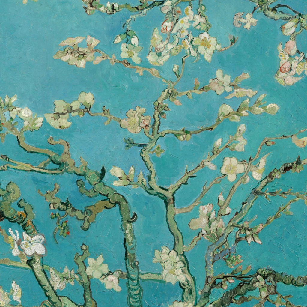 Museu Van Gogh: Tiquet d'entrada - With Audio Guide - 2