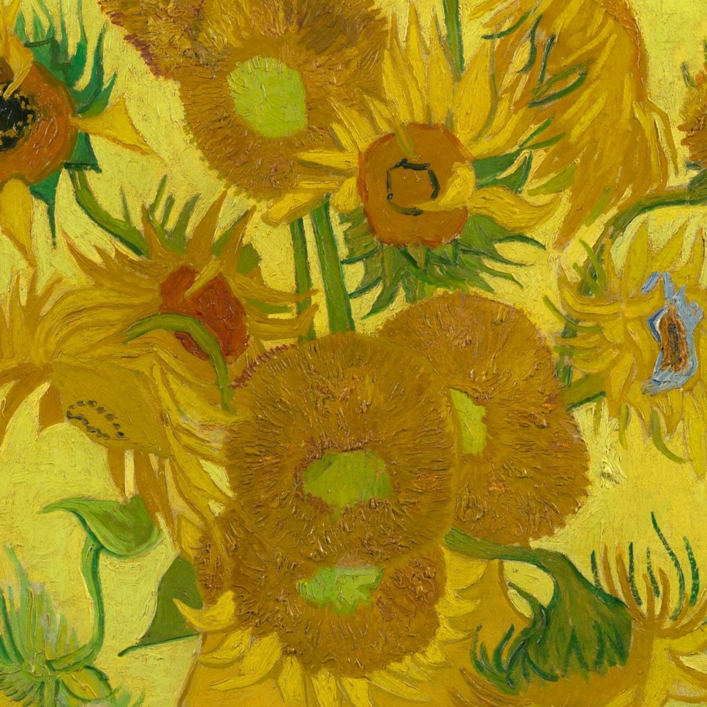 Musée Van Gogh Amsterdam : Visite guidée - 3