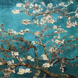 Museu Van Gogh: Visita guiada semiprivada - 2