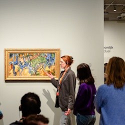 Musée Van Gogh : Coupe-file + visite guidée de 2 heures - 1