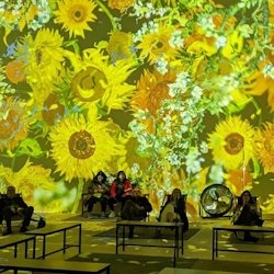 梵高-乌得勒支沉浸式体验: 门票 - 3