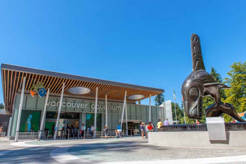 Vancouver Aquarium Ticket (Admission) - 1
