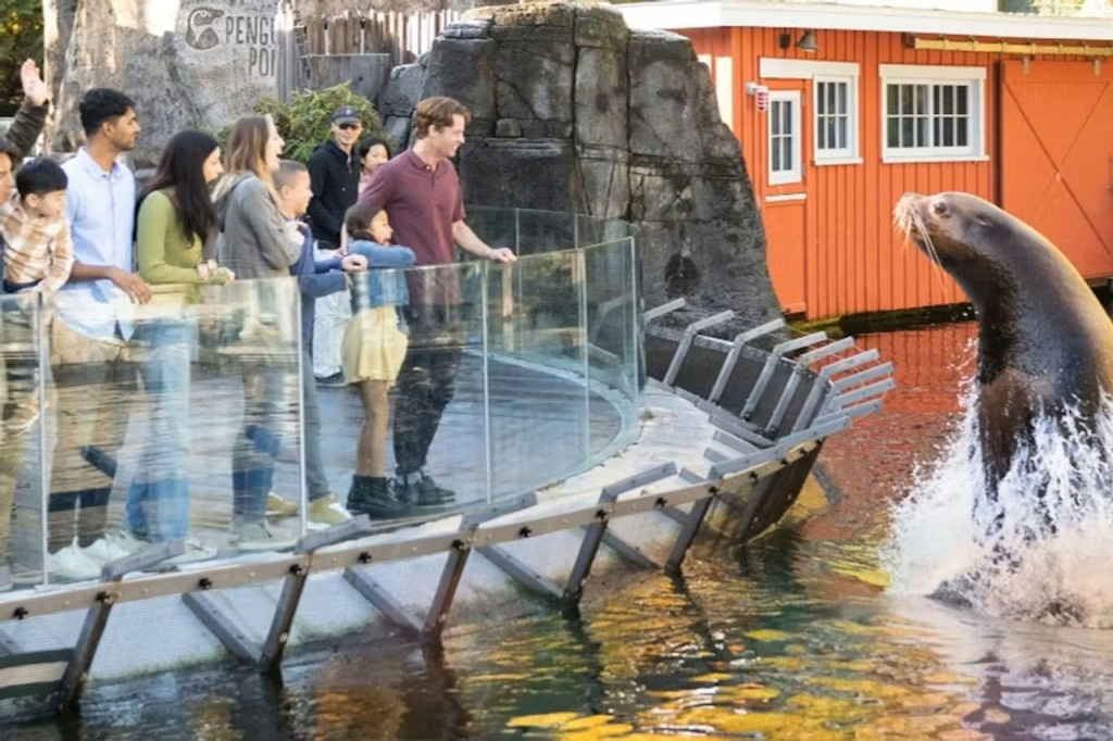 Vancouver Aquarium Ticket (Admission) - 2