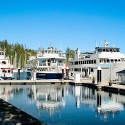 Vancouver: Tour in barca per il brunch - 3