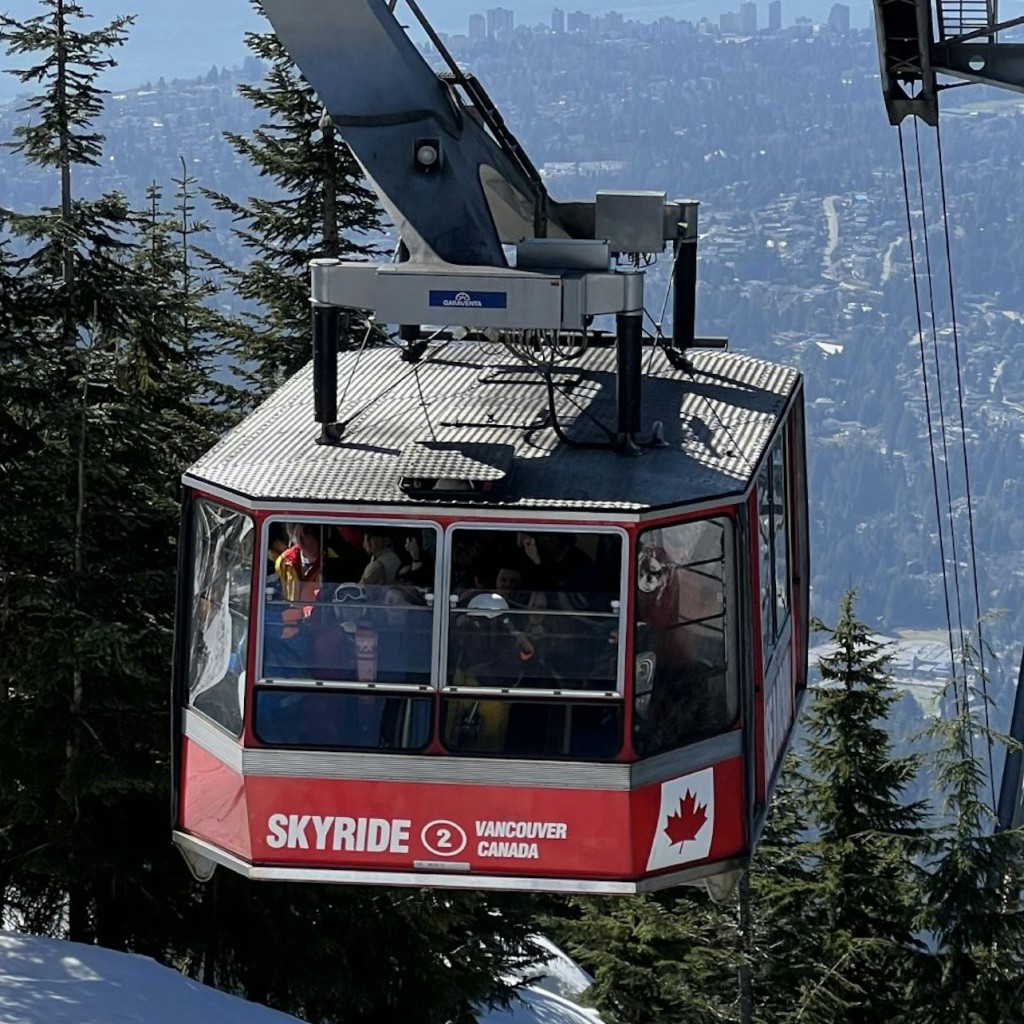Vancouver: Visita guiada amb raquetes de neu per la muntanya Grouse - 1
