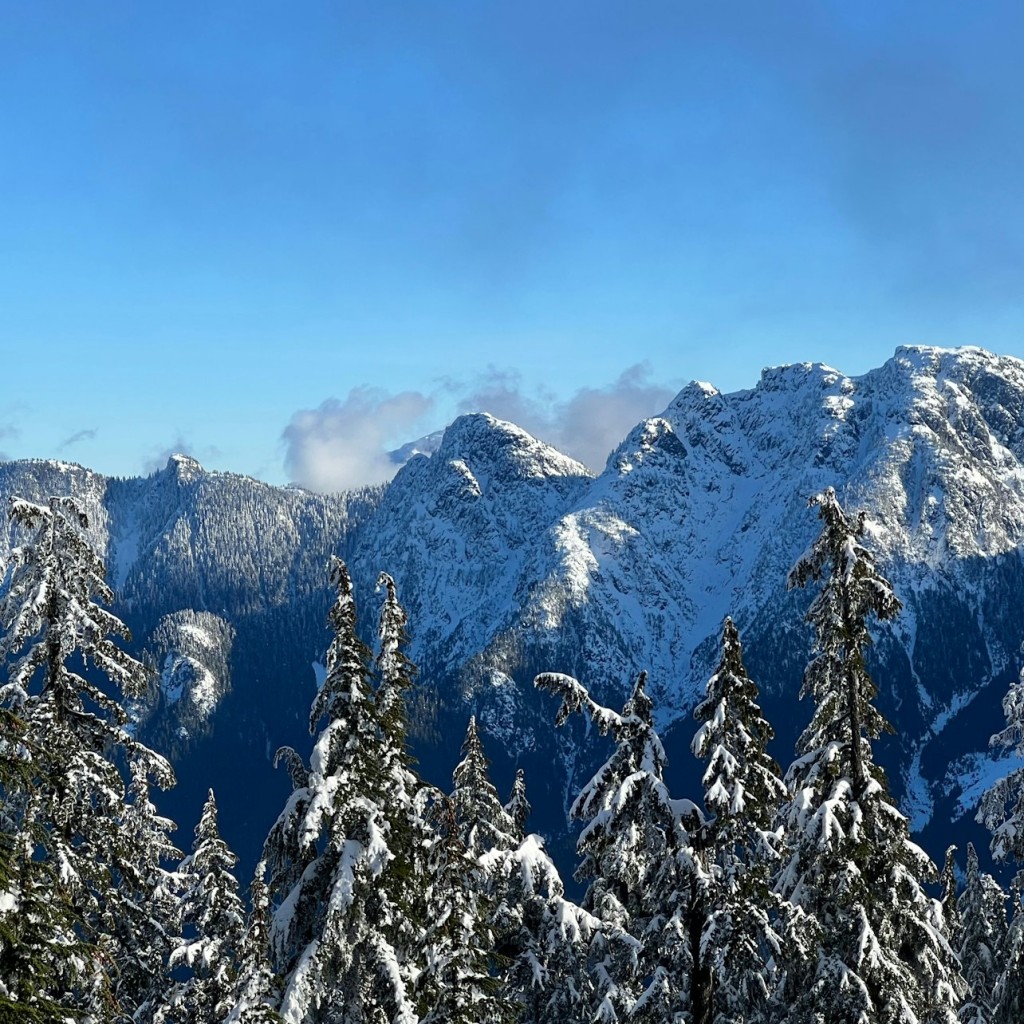 Vancouver: Visita guiada amb raquetes de neu per la muntanya Grouse - 3