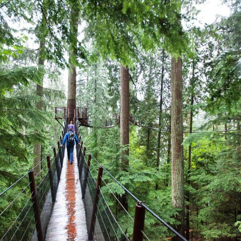 Vancouver: Visita Guiada + Visita al Parque del Puente Colgante de Capilano + Almuerzo - 3