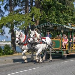 バンクーバー:スタンレーパーク馬車ガイド付きツアー - 2