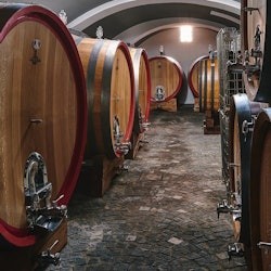 Vesuv: Skip the line Eintritt + Weinprobe in einem Weingut - 2