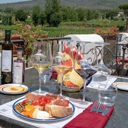 Vesuv: Tour durch die Weinberge + Weinverkostung und Mittagessen - 1