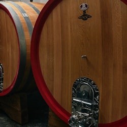 Vesuv: Tour durch die Weinberge + Weinverkostung und Mittagessen - 2