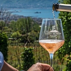Vesuv: Tour durch die Weinberge + Weinverkostung und Mittagessen - 3