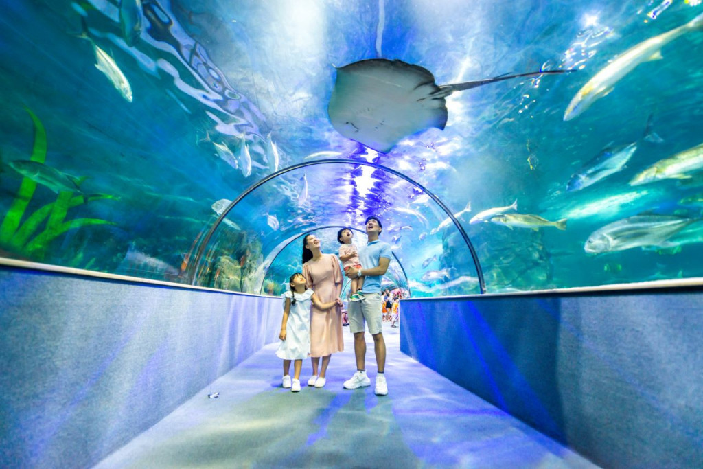 VinKE Times City Hanoi Ticket (COMBO: VinKE Times City + Vinpearl Aquarium Times City) - 1