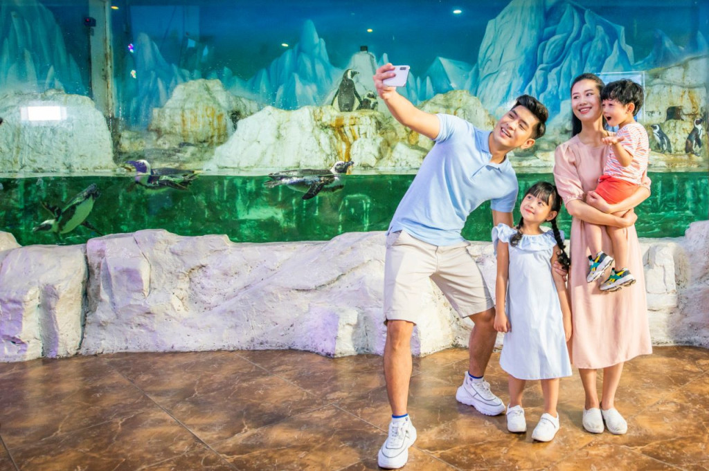 VinKE Times City Hanoi Ticket (COMBO: VinKE Times City + Vinpearl Aquarium Times City) - 2