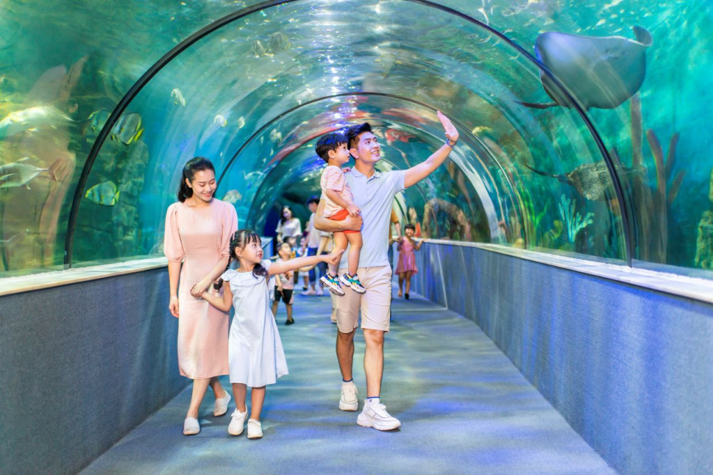VinKE Times City Hanoi Ticket (COMBO: VinKE Times City + Vinpearl Aquarium Times City) - 3