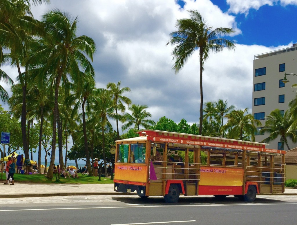 Waikiki Trolley Hop-on Hop-off Bus Tour (All Lines (Four Days)) - 1