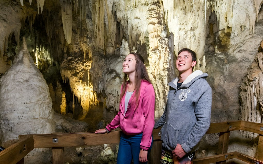 Geführte Tour durch die Waitomo Glühwürmchenhöhlen (From Auckland: Waitomo Glowworm Cave Guided Tour ) - 1