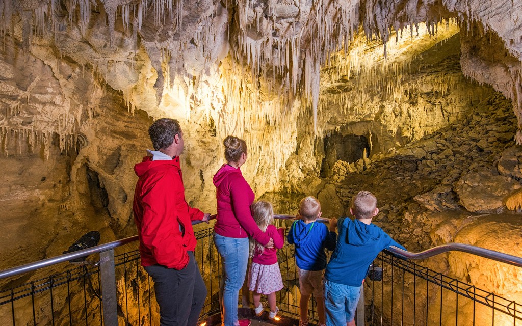 Geführte Tour durch die Waitomo Glühwürmchenhöhlen (From Auckland: Waitomo Glowworm Cave Guided Tour ) - 3