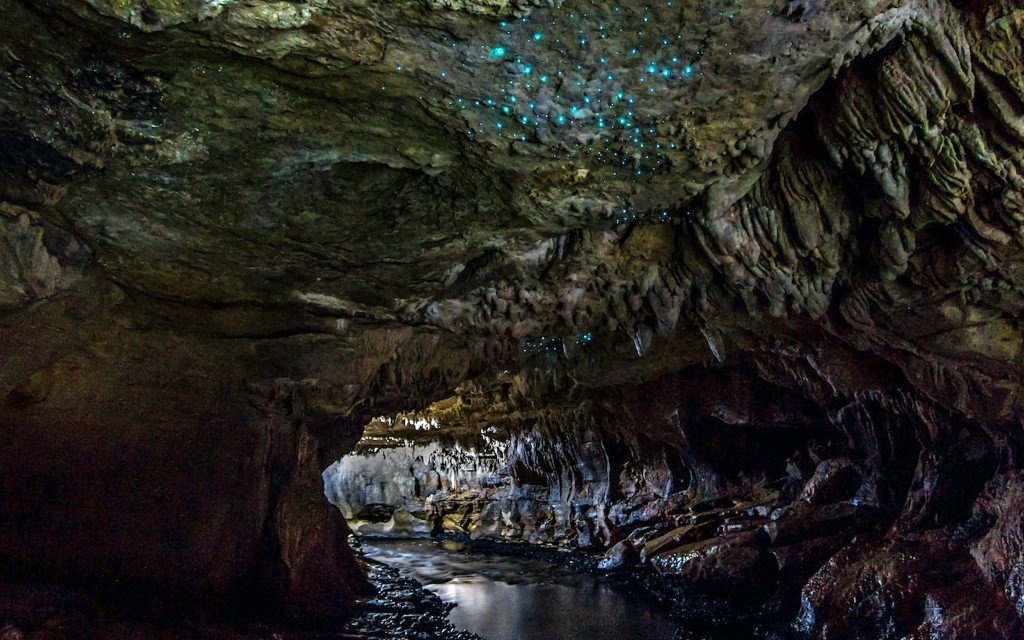 Geführte Tour durch die Waitomo Glühwürmchenhöhlen (Offbeat Waitomo Glowworm Cave Small-Group Guided Tour) - 2