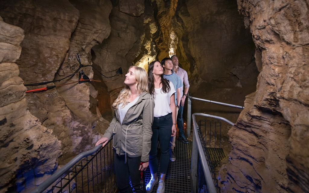 Waitomo Glowworm Caves Guided Tour (Ruakuri Cave Guided Tour) - 1